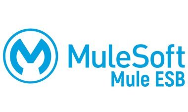 MuleSoft Training from Hyderabad