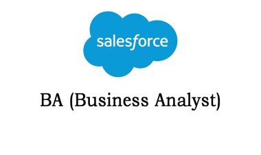 Salesforce BA Online Training from India