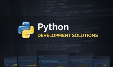 Understanding the Costs of Python Development Services for Startups in Dubai