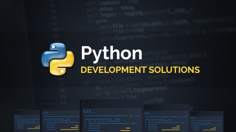 Understanding the Costs of Python Development Services for Startups in Dubai
