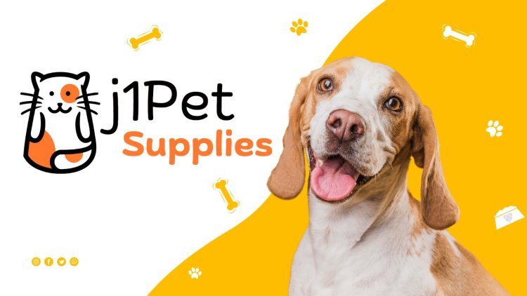 J1PetSupplies’ Guide to All-Natural Dog Treats