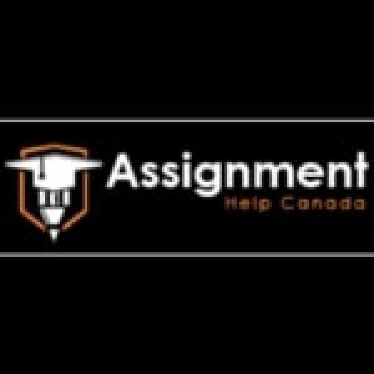 Professional Essay Writer