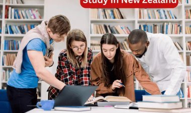 Popular Courses to Study Abroad: A Guide by Study Visa Consultants