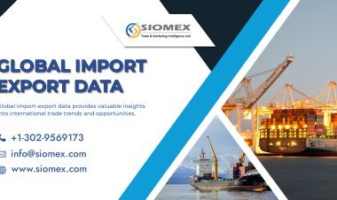 How Do You Utilize Trade Data for Your Business?
