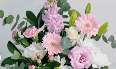 The Ultimate Guide to Sending Gift Plants in Melbourne
