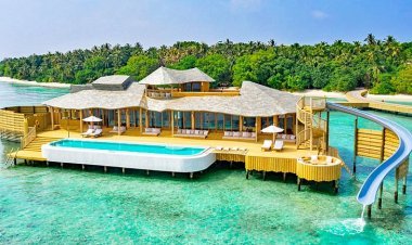 Island Hopping in the Maldives: A Traveler’s Adventure