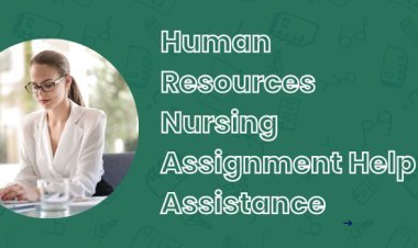 Human Resources Nursing Assignment Help Assistance