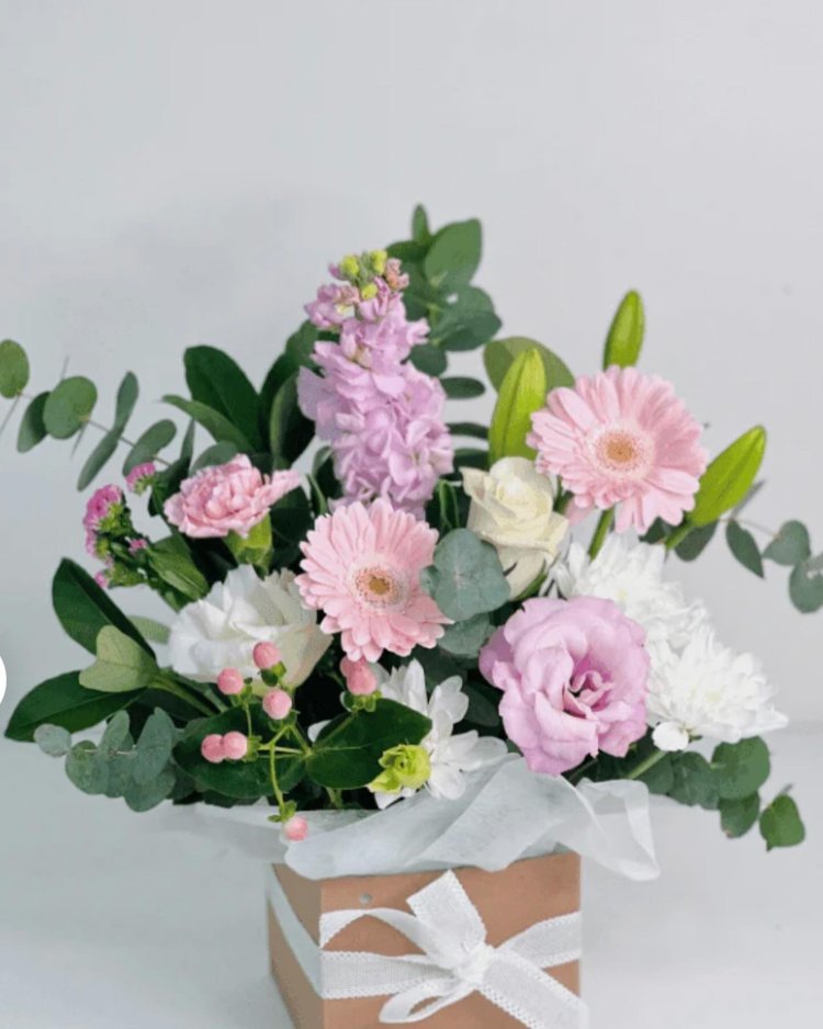The Ultimate Guide to Sending Gift Plants in Melbourne