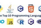 In-Depth Breakdown of the Top 10 Programming Languages