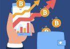 The Influence of Pool Fees on Calculating Mining Profitability