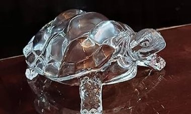Unlocking the Power of Crystal Tortoise in Vastu: Benefits, Placement & Direction