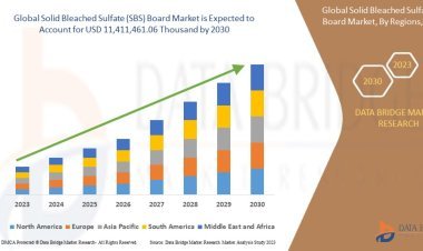Solid Bleached Sulfate (SBS) Board Market Size, Share, Trends, Growth Opportunities and Competitive Outlook