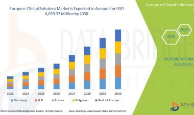 Europe e-Clinical Solutions Market Size Analysis Report, Share, Trends, Growth and Competitive Outlook