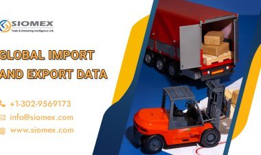 Boost Your Export Strategy with Accurate Port Data