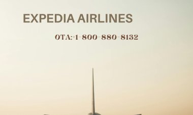 How do I talk to a real person on Expedia?