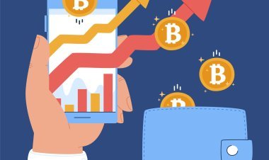 The Influence of Pool Fees on Calculating Mining Profitability