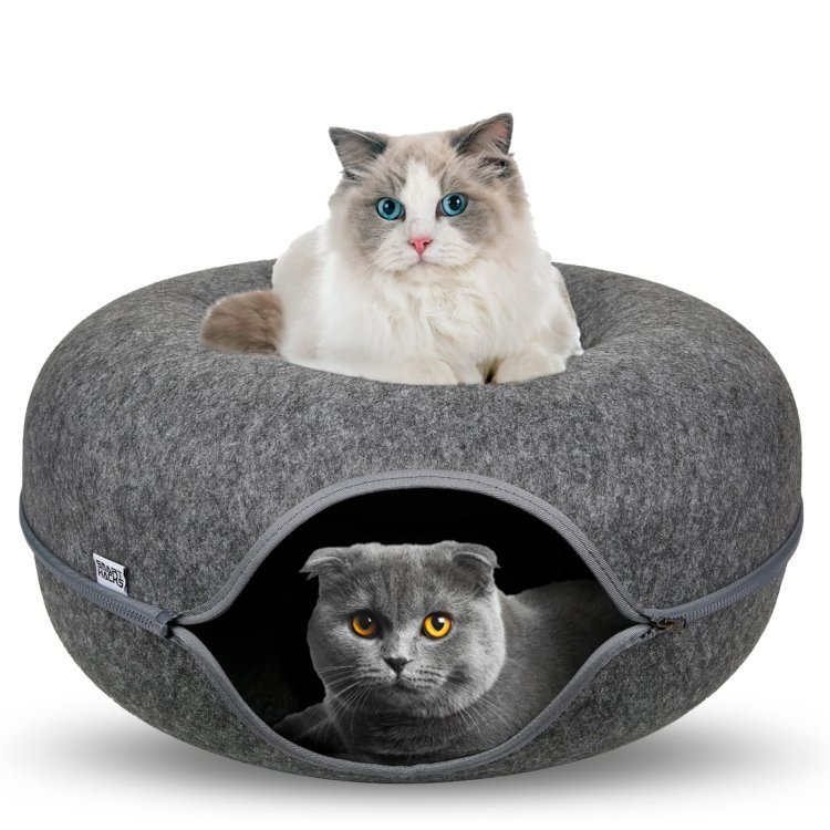 How Cat Donut Tunnels Keep Your Pet Happy, Active, and Cozy