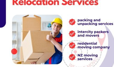 Seamless Office Relocation Services by RapidMovers: with the Best Moving Company for Success Business