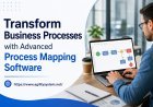 Transform Business Processes with Advanced Process Mapping Software