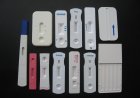Rapid Diagnostic Test Kit Manufacturing Plant Project Report 2026: Capital Cost, ROI & Market Outlook