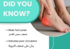 Sclerotherapy Treatment Near Me for Varicose Veins