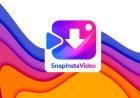Snapinsta Video Downloader: How to Download Instagram Videos Instantly