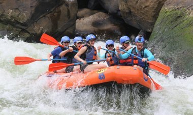 Rishikesh Wellness Guide: The Best Place for Yoga, Adventure, and Holistic Healing