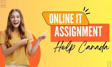What Is IT Assignment Help And Why Do Students Need It?