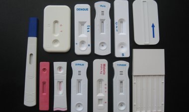 Rapid Diagnostic Test Kit Manufacturing Plant Project Report 2026: Capital Cost, ROI & Market Outlook