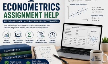 Econometrics Assignment Help: Your Complete Guide to Academic Success