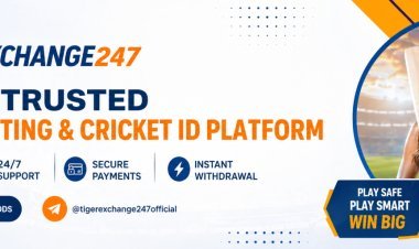 Tiger Exchange APK Download and All Cricket Betting App: What Users Should Know