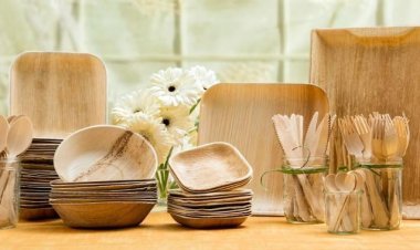 Bamboo Based Disposable Cups and Plates Manufacturing Plant Setup Report 2026 | Raw Materials and ROI Analysis