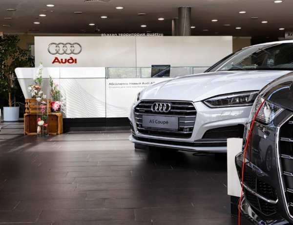The Hidden Language of Audi Engines and How Diagnostics Translate It