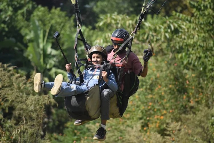 Best Travel Agency In Dehradun | Junglee Rasta