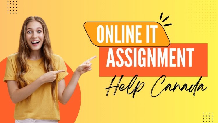 What Is IT Assignment Help And Why Do Students Need It?