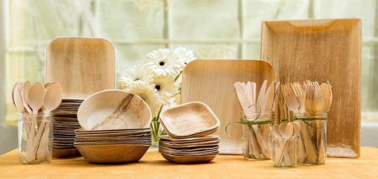 Bamboo Based Disposable Cups and Plates Manufacturing Plant Setup Report 2026 | Raw Materials and ROI Analysis
