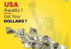 Dollar Rate in Pakistan & Currency Exchange Lahore | LinkExchange