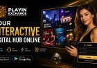 Playinexch App Guide: Features, Mobile Access and Online Gaming Overview