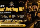 What Is a Cricket Betting ID? Features, Benefits and How It Works