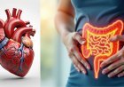 What Foods Support Both Heart and Digestive Health?
