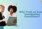Why Trust an Expert Immigration Consultant?