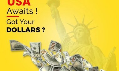 Dollar Rate in Pakistan & Currency Exchange Lahore | LinkExchange
