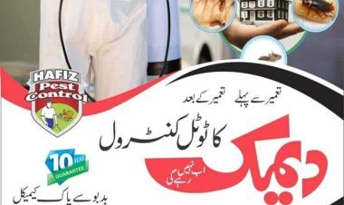 Pest Control & Pest Control Lahore | Hafiz Pest Control