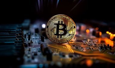 Crypto Marketing 101: A Step-by-Step Growth Guide for Blockchain Startups