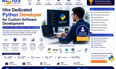 Hire Dedicated Python Developer for Custom Software Development