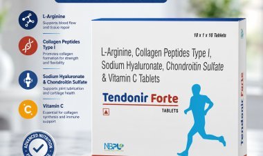 Why Is Tendonir Forte Recommended by Healthcare Professionals?