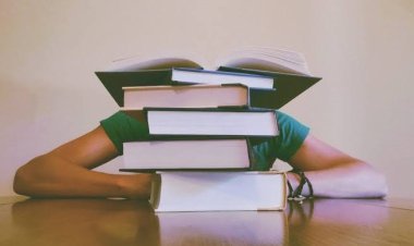 How to Choose the Right Overseas Education Consultants in Bangalore