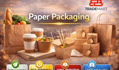 Innovative Product Protection with Paper Packaging and Eco Solutions