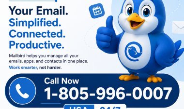 Does Mailbird Email Still Work and How Can You Access It?