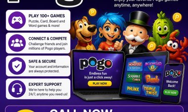 Log In to Your Pogo My Account for Secure Access and Find Your Gaming Dashboard